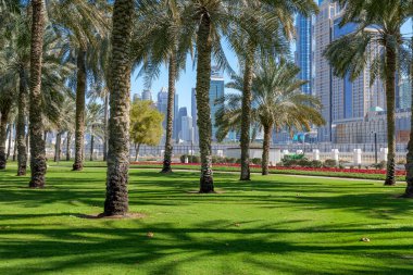 Dubai 'nin göbeğinde yeşil vaha. Safa Park, modern gökdelenlerin manzaralı açık hava rahatlığı sunuyor. Ağaçların gölgesinde yürümek ve piknik yapmak için harika bir yer.