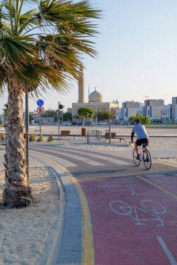Dubai, Birleşik Arap Emirlikleri 'ndeki Kite Sahili boyunca palmiye ağaçlarıyla kaplı bisiklet yolu. Manzaralı bir sahil yolu bisiklet, koşu ve deniz manzarası ile popüler.