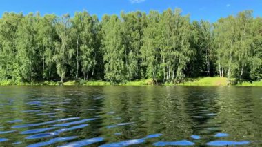 Bereketli yeşil ağaçlarla çevrili sakin yaz gölü, mavi gökyüzünü yansıtıyor. Huzurlu doğa sahnesi rahatlama ve sükunet için mükemmel. Göl ve ağaçlar huzurlu bir manzara yaratır.