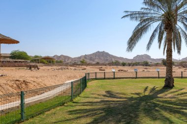 Al Ain Hayvanat Bahçesi, BAE 'de aile dostu mükemmel bir yerdir. Ziyaretçiler çeşitli vahşi yaşamı, etkileşimli sergileri, gölgeli piknik noktalarını keşfedebilir, burayı eğlence ve eğitim günü için ideal bir yer haline getirebilir.