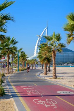 Açık işaretli bisiklet yolu, Dubai, BAE sahilindeki palmiye ağaçlarının arasından geçiyor. Aktif bir kıyı yaşam tarzı için bisiklet, koşu, yürüyüş ve keyif için popüler bir nokta