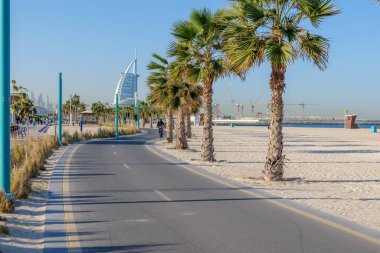 Dubai, Birleşik Arap Emirlikleri 'ndeki Kite Sahili boyunca palmiye ağaçlarıyla kaplı bisiklet yolu. Bisiklet sürmek, koşmak ve deniz manzarasından hoşlanan manzaralı bir kıyı yolu. 24 Ocak 2025, BAE, Dubai