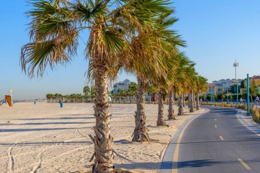 Dubai sahilindeki palmiye ağaçlarının arasından geçen açık işaretli bisiklet yolu. Aktif bir kıyı yaşam tarzı için bisiklet, koşu, yürüyüş ve keyif için popüler bir nokta