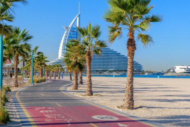 Dubai, Birleşik Arap Emirlikleri 'ndeki Kite Sahili boyunca palmiye ağaçlarıyla kaplı bisiklet yolu. Manzaralı bir sahil yolu bisiklet, koşu ve deniz manzarası ile popüler.