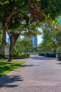 Dubai 'nin merkezinde şehir merkezinin gökdelenlerini gören yeşil bir park. İşe ara vermek için harika bir yer.