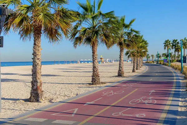 Dubai sahilindeki palmiye ağaçlarının arasından geçen açık işaretli bisiklet yolu. Aktif bir kıyı yaşam tarzı için bisiklet, koşu, yürüyüş ve keyif için popüler bir nokta