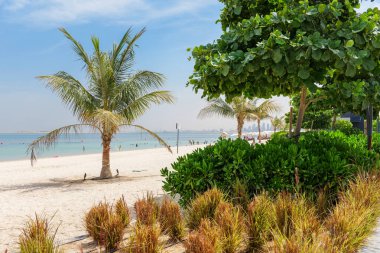 Dubai Adaları Plajı, BAE. Yeşillik, gezinti güvertesi ve deniz manzarası. Dubai turizmi, yaşam tarzı ve Dubai hafta sonları için canlı, yeni bir plaj merkezi.