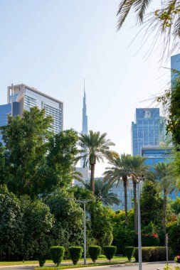 11 Şubat 2025, Dubai, BAE. Burç Halife yemyeşil ve palmiye ağaçlarının üzerinde. Dubai daha yeşil ve çevre dostu hale geliyor. Turistler ve şehir kaşifleri için mükemmel bir ortam yaratıyor.