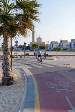 Dubai, Birleşik Arap Emirlikleri 'ndeki Kite Sahili boyunca palmiye ağaçlarıyla kaplı bisiklet yolu. Manzaralı bir sahil yolu bisiklet, koşu ve deniz manzarası ile popüler.