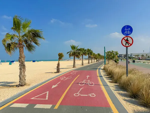 Dubai, Birleşik Arap Emirlikleri 'nde uçurtma plajı boyunca palmiye ağaçları olan bisiklet yolu. Yüksek kalite fotoğraf