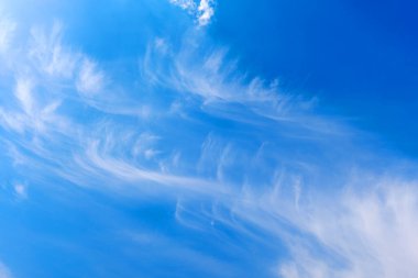 İnce sirrus bulutları açık mavi bir gökyüzü boyunca uzanıyor, narin ve havadar bir desen oluşturuyor.