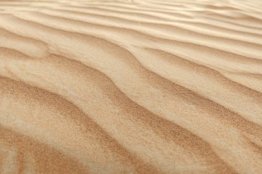 Altın çöl kum tepelerinde gün batımı ışığı. Çöl düzeni. Yüksek kalite fotoğraf