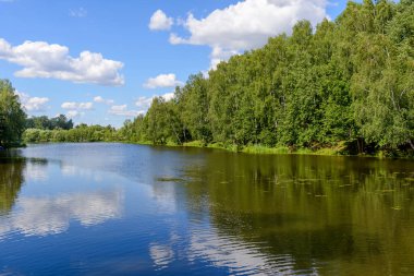 Sakin bir yaz günü, yoğun ormanlarla çevrili pitoresk bir göl. Rahatlamak, piknik yapmak ve huzurlu bir doğal ortamda temiz havanın tadını çıkarmak için mükemmel.