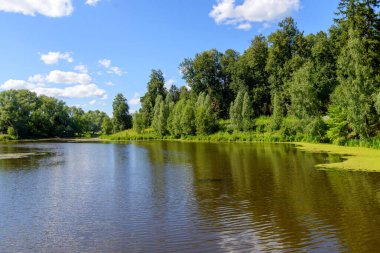 Bereketli yeşil ağaçlarla çevrili dingin göl berrak mavi gökyüzünün altında yansıyor kabarık beyaz bulutlar, dokunulmamış doğanın güzelliği.