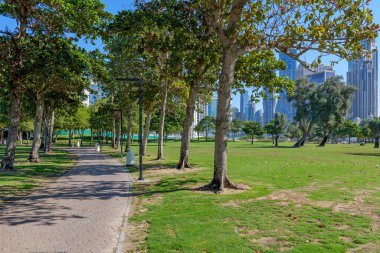 Dubai 'nin merkezinde Dubai şehir merkezinin gökdelenleri manzaralı yeşil bir park. Doğa ve şehir mimarisi arasında yürüyüş, piknik ve rahatlama için harika bir yer.