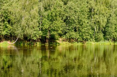 Sakin bir yaz günü, yoğun ormanlarla çevrili pitoresk bir göl. Rahatlamak, piknik yapmak ve huzurlu bir doğal ortamda temiz havanın tadını çıkarmak için mükemmel.