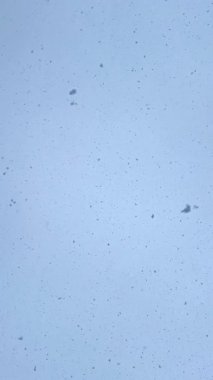 Gökyüzünden düşen gerçek kar tanelerinin dikey videosu, doğal kış karı sakin ve otantik bir mevsim manzarası yaratıyor.