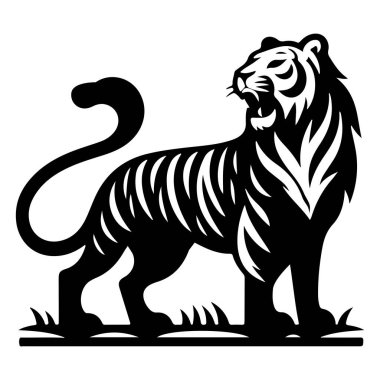 Vahşi bir kaplan cesur, siyah ve beyaz bir resimde tasvir edilir. Basit bir çim tabanında tetikte durur..