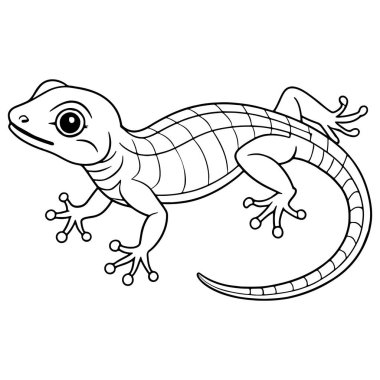 Doğu çitleri kertenkele çizimi. Çocuklar için eğitici hayvan çizimleri.