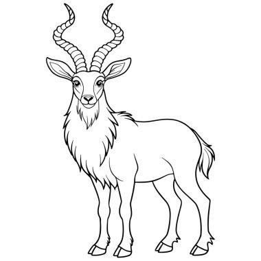 Markhor çizgi boyama sayfası çocuklar için görkemli hayvan çizimleri içeriyor