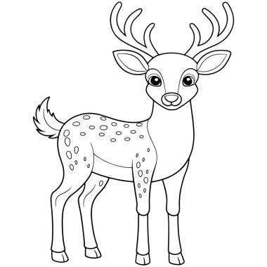 Misk geyiği boyama sayfası. Çocuklar için mükemmel bir hayvan çizimi.