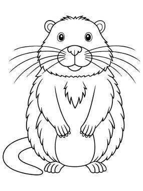 Doğa Çizimleri ve Çocuk Sanat Projeleri için Renklendirme ve Tasarım İçin Güzel Çizim Nutria Çizimi Çizimi
