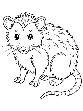 Boyama Kitabı veya Eğitimsel Malzemeler Yaratıcı Vahşi Yaşam Öğrenme Etkinliği için Şirin Opossum Çizimi