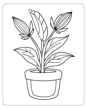 Basit bir saksı çizimi, boyama kitapları ya da ev dekorasyonu için mükemmel. Botanik çizimleri.