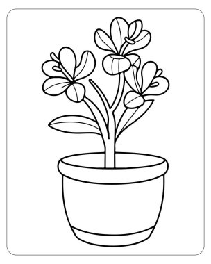 Bir saksıda çiçek açan bir bitkinin basit çizimleri boyama kitapları için mükemmel..