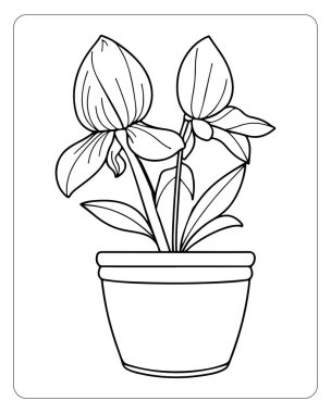 Sanat orkidesi boyama kitapları ve tasarım projeleri için mükemmel bir çömlek..