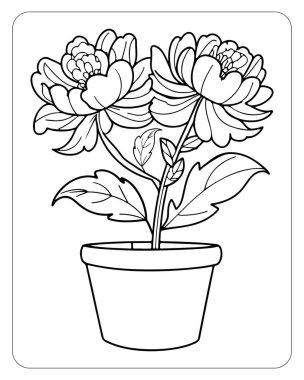 Şakayık saksı bitkisinin zarif çizimi. Boyama kitapları için mükemmel..