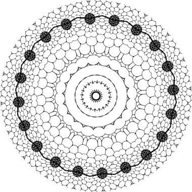 Karmaşık siyah beyaz mandala sanatı, tasarım projeleri için mükemmel. Dairesel desen.
