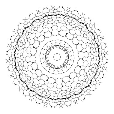 Karmaşık mandala çizimleri renklendirme sayfaları ve tasarım projeleri için ideal dairesel desen içerir.