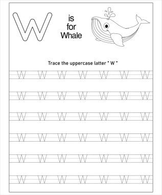Büyük W harfi ve bir balina çizimi içeren okul öncesi alfabe izleme çalışma tablosu.