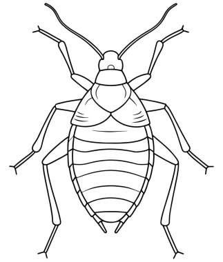 Hata öğrenme ve eğlenceli böcek renklendirme faaliyetleri için Aphid çizimi