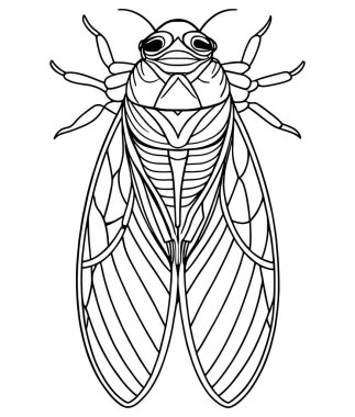 Yazdırılabilir bilim temalı renklendirme ve hata öğrenme için ağustos böceği çizimi