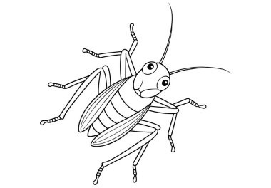 Böcek boyama eğlencesi ve erken dönem fen bilgisi için kriket çizgi filmi çizimi