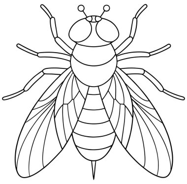 Çocukların böcek öğrenme ve renkli sayfaları için yapılmış meyve sineği çizimi