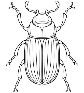 Doğa çalışmaları için yer böceği çizgisi sanatı ve çocuklar için böcek boyama eğlencesi