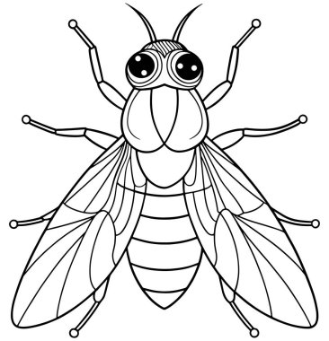 Çocuklar için atsineği detaylı çizim bilim öğrenme ve boyama sayfaları