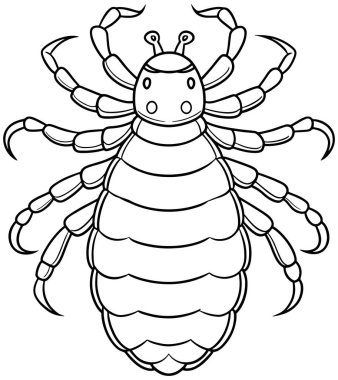 Böcek koleksiyonu, böcek eğitimi ve sınıf boyama eğlencesi için tasarlanmıştır.