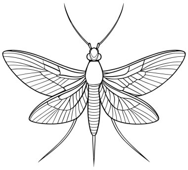 Böcek eğitimi ve çocukların boyama eğlencesi için yapılmış bir kanat çizimi