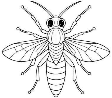 Çocuklar için Sawfly anatomisi çizimi böcek öğrenme ve eğitici renklendirme