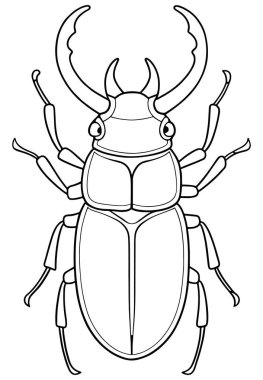 Geyik böceği çizimi böcek öğrenme ve çocuklar için eğlenceli boyama içindir.