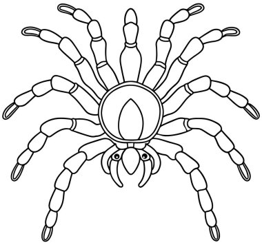 Çocuklar için tarantula çizgisi. Örümcek boyası ve bilim araştırması.