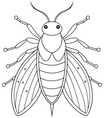 Böcek temalı renklendirme ve böcek eğitimi etkinlikleri için Whitefly çizimi