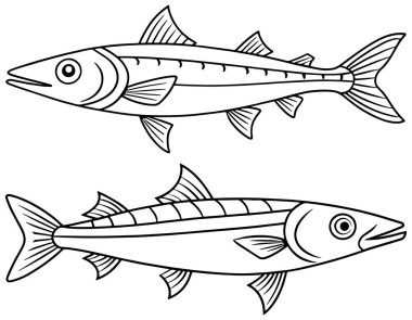 Okyanus eğitimi kitapları ve boyama içeriği için mükemmel iki barakuda yüzme çizimi