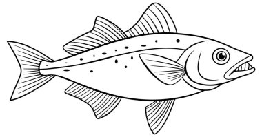 Deniz yaşamı kitapları ve deniz boyama görselleri için mükemmel dişleri olan mezgit balığı çizgisi.