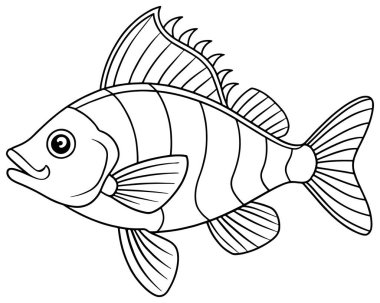 Levrek balığı, deniz temalı boyama kitapları ve çocukların eğitimi için idealdir.