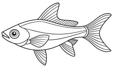 Rasbora temiz çizgisi deniz eğitimi ve yaratıcı sualtı tasarım materyalleri için mükemmel.